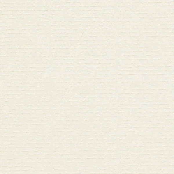 Conqueror Laid Oyster 250g kohapeal